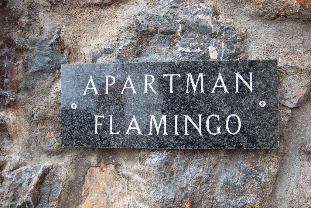 Apartman Flamingo Hotel Daruvar Zewnętrze zdjęcie